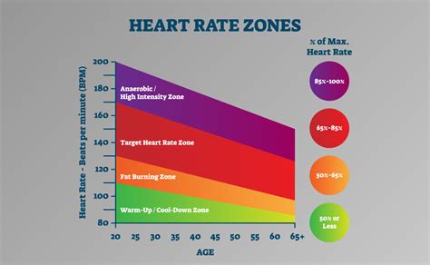 Guide to Running Heart Rate Zones + How to .